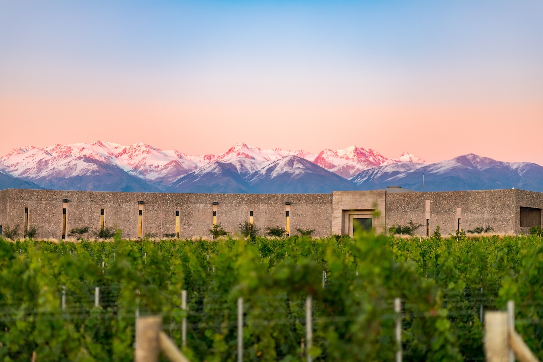 Bemberg Estate Wines vineyards, with the winery surrounded by vines and the snow-capped Andes Mountains in the background.