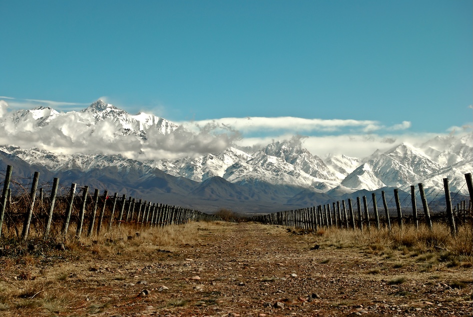 Piedra Negra’s 130 hectares of vineyards in Los Chacayes, Argentina, set against the spectacular snow-capped Andes Mountains.
