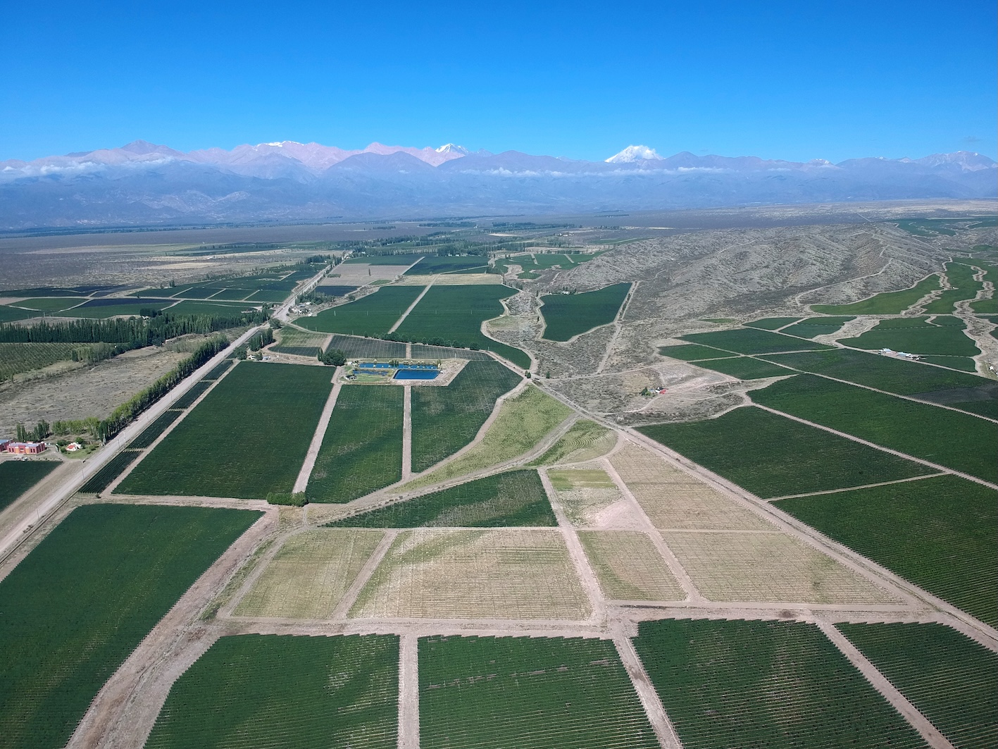 Aerial view of Bodega Susana Balbo’s vineyards in Gualtallary, in Mendoza’s Uco Valley, with the Andes Mountains in the background.