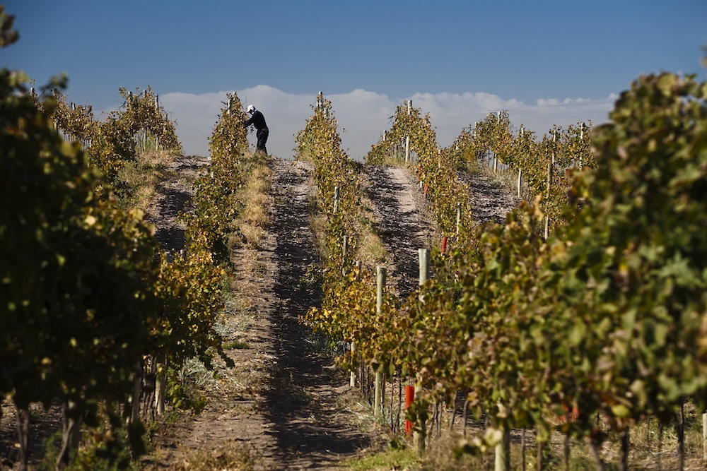 ‘The beauty of Argentina. The beauty of wine’ campaign highlights the diversity and quality of Argentine wine, its beautiful landscapes and rich culture