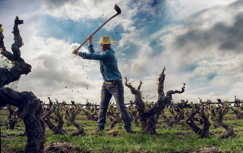 Chile is world’s fourth largest wine exporter