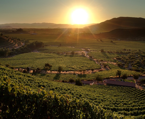    The great challenge for Chilean wines