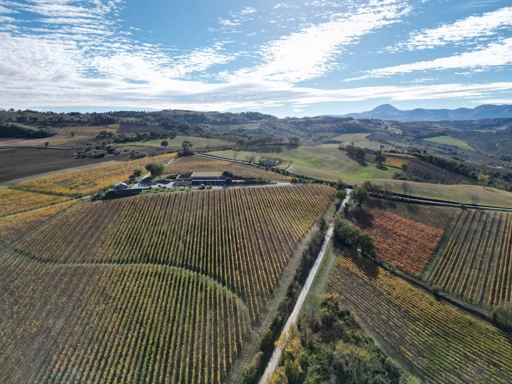 The CasalFarneto vineyard covers 60 hectares