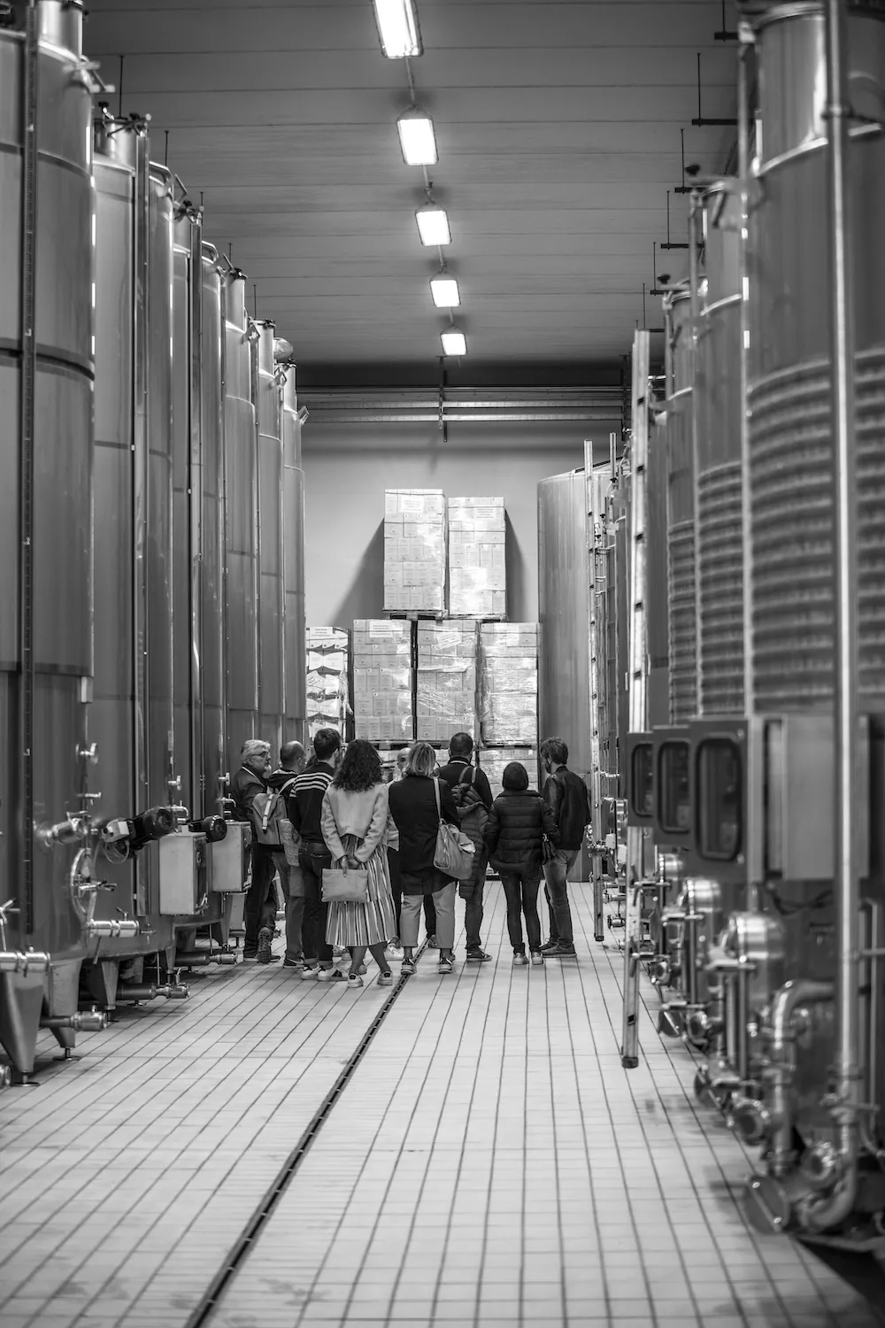 The semi-underground winery at CasalFarneto protects the landscape and ensures a constant temperature of 18-20° in the vat room