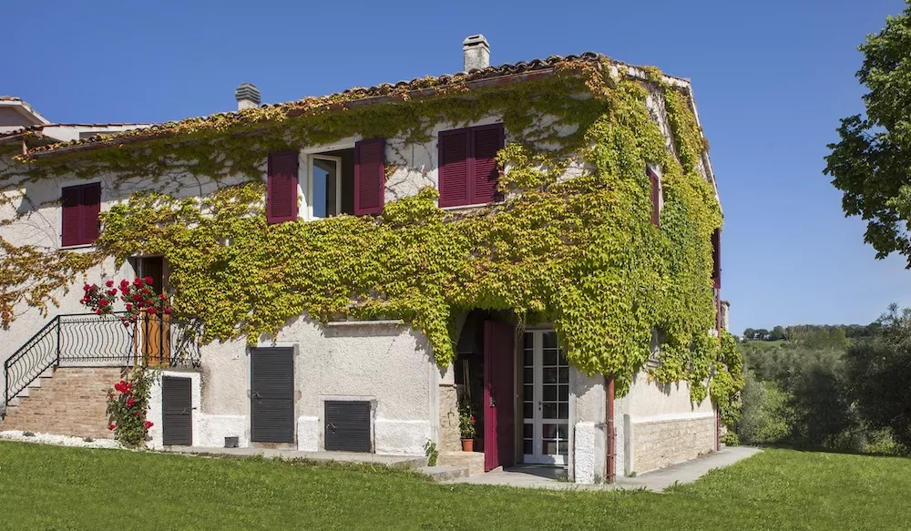 Zaccagnini was founded in 1973 in Staffolo in Contrada Salmagina