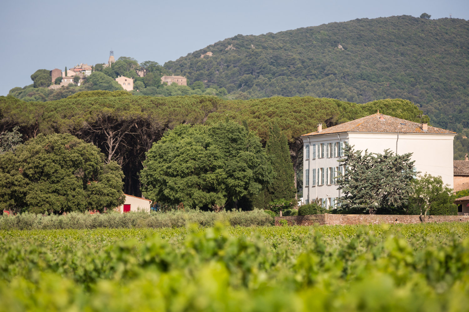 With red clay on the valley floor and limestone in the hills, Vibaudan ike everywhere else in Provence is home to amazing geological diversity