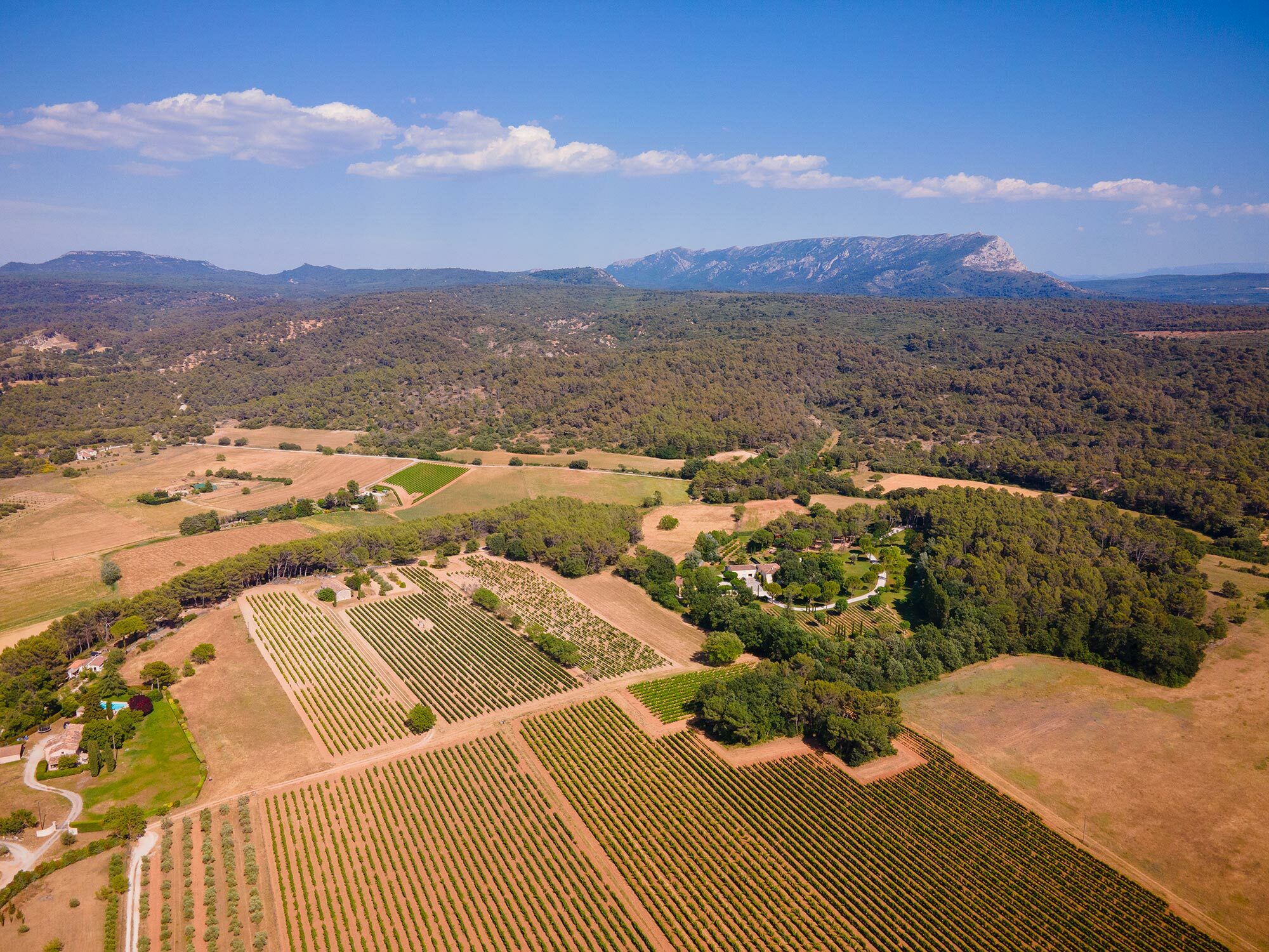 The Quatre Tours winery has hived off designated vineyard sites