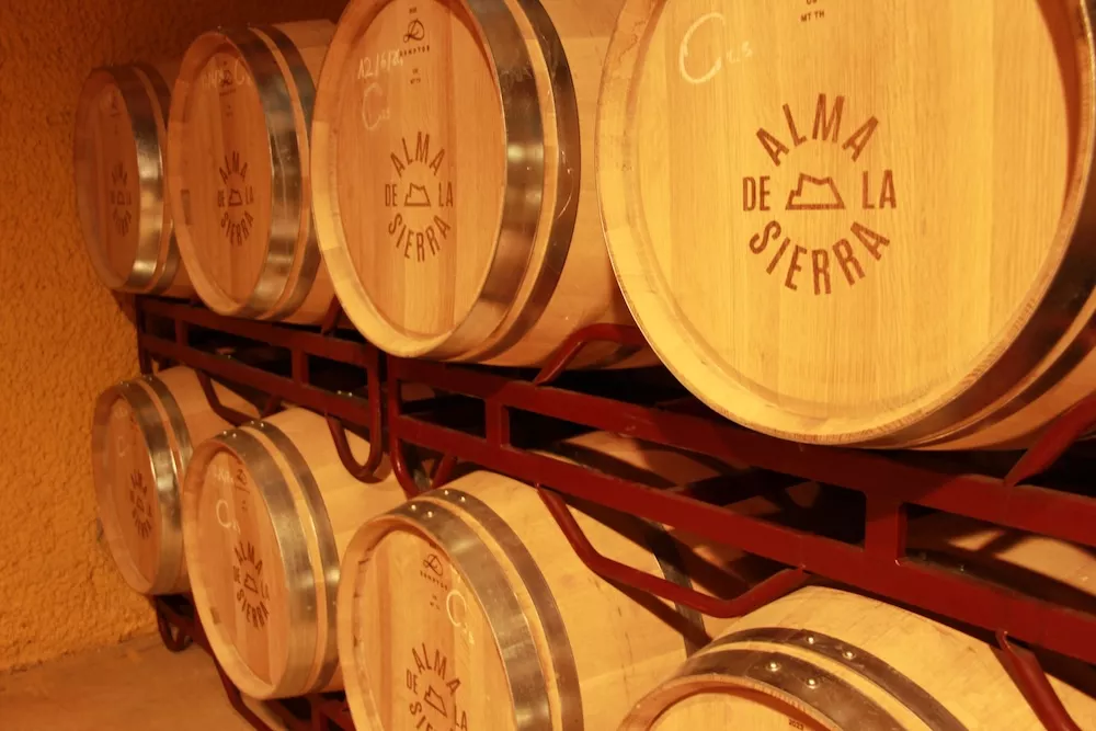 Barrels by demptos. The renowned Bordeaux Cooperage.
