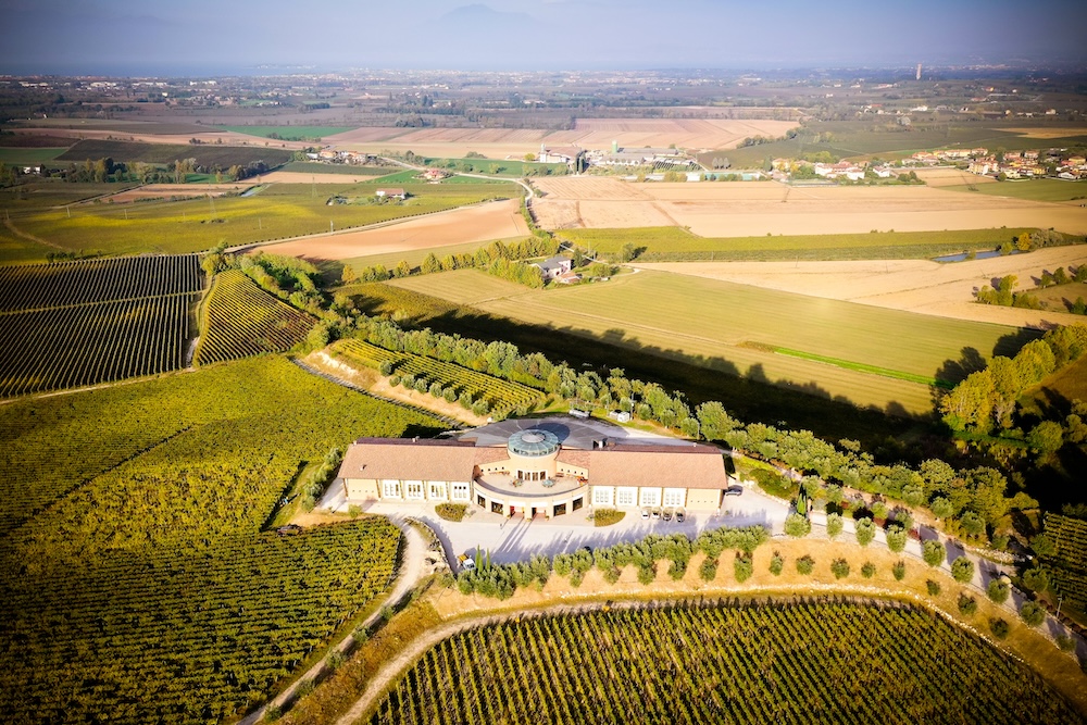 Ce chai ultramoderne est con&ccedil;u pour accompagner les raisins puis le jus afin de produire des vins de grande qualit&eacute;