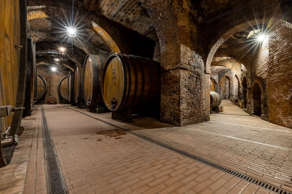 Talosa's historic vaulted brick cellars, lined with large wooden barrels under soft lighting