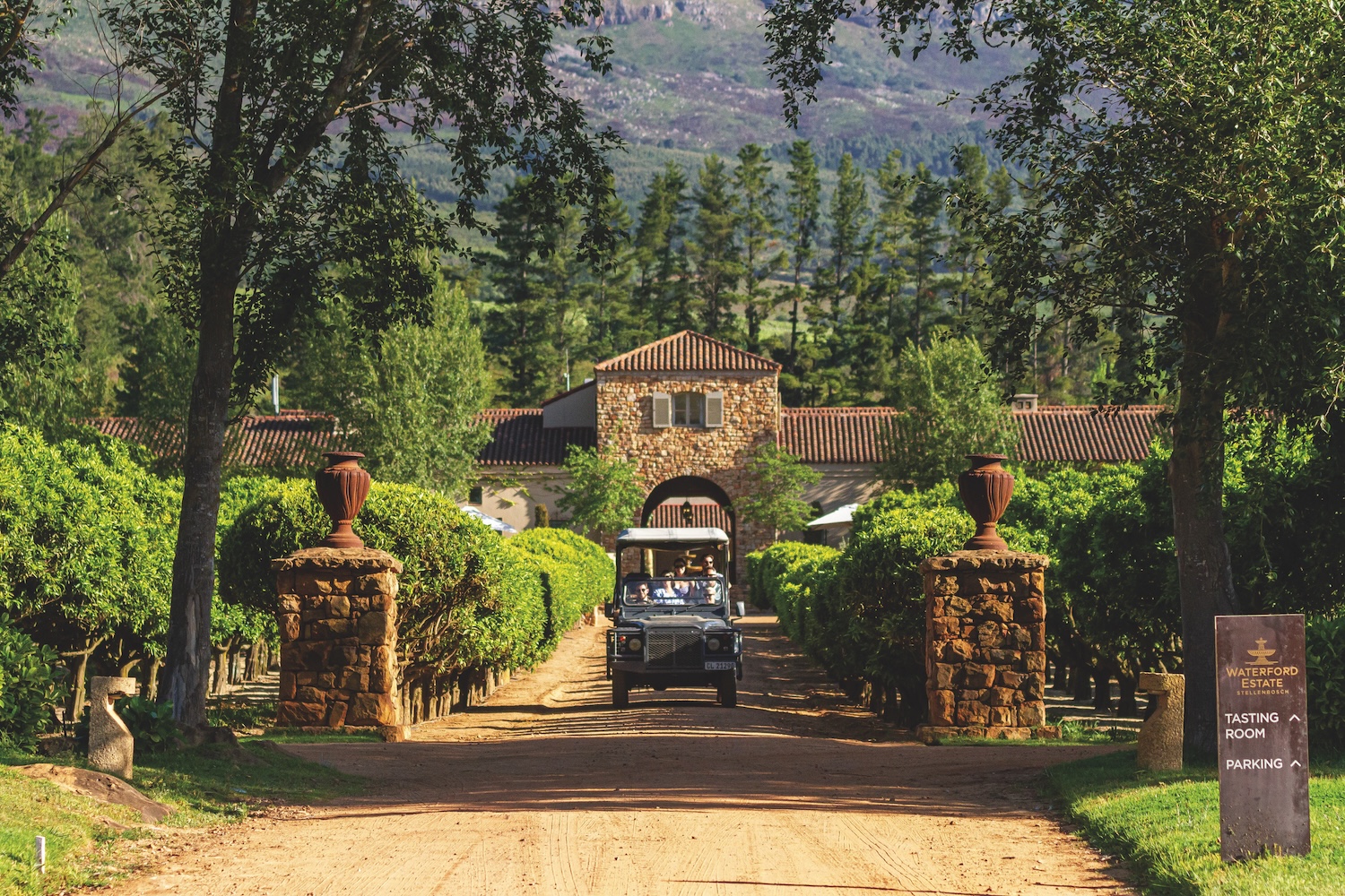 Stone entrance and vineyard drive at Waterford Estate, Stellenbosch