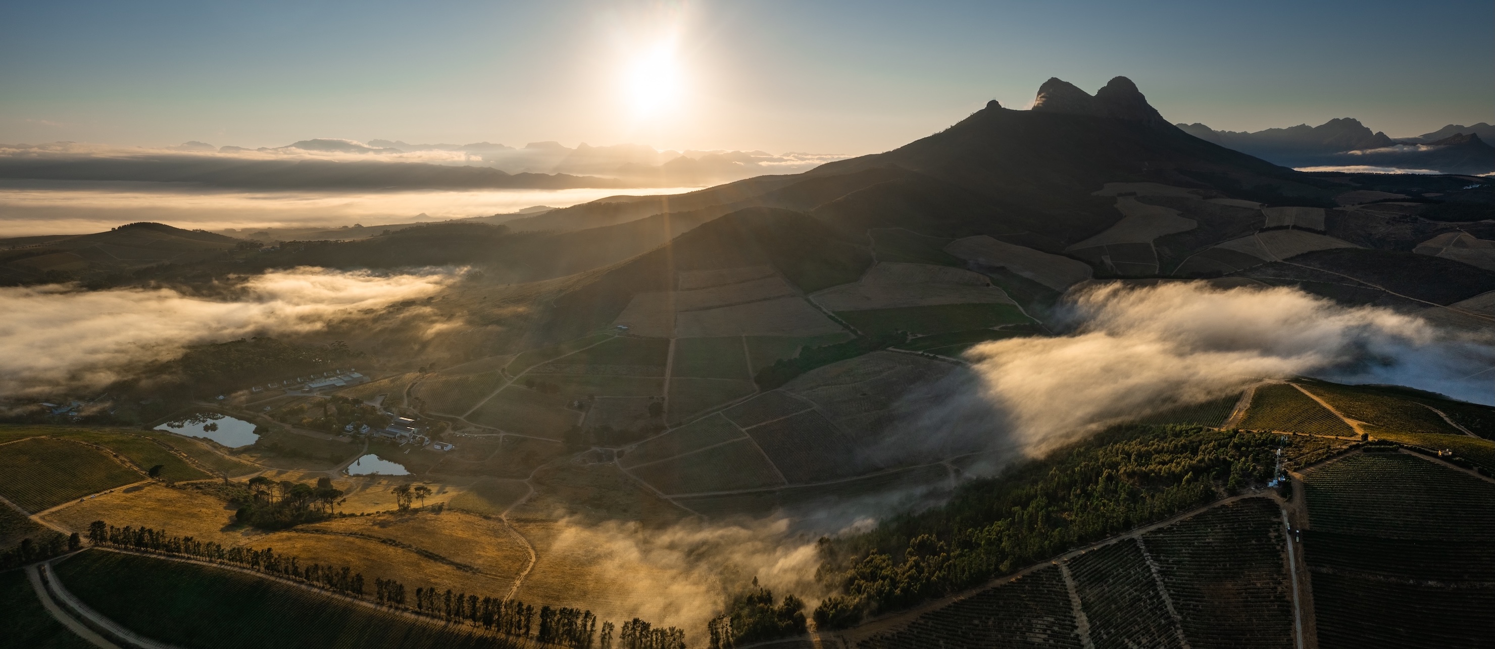 Sunrise over the Simonsberg mountains and Stellenbosch vineyards