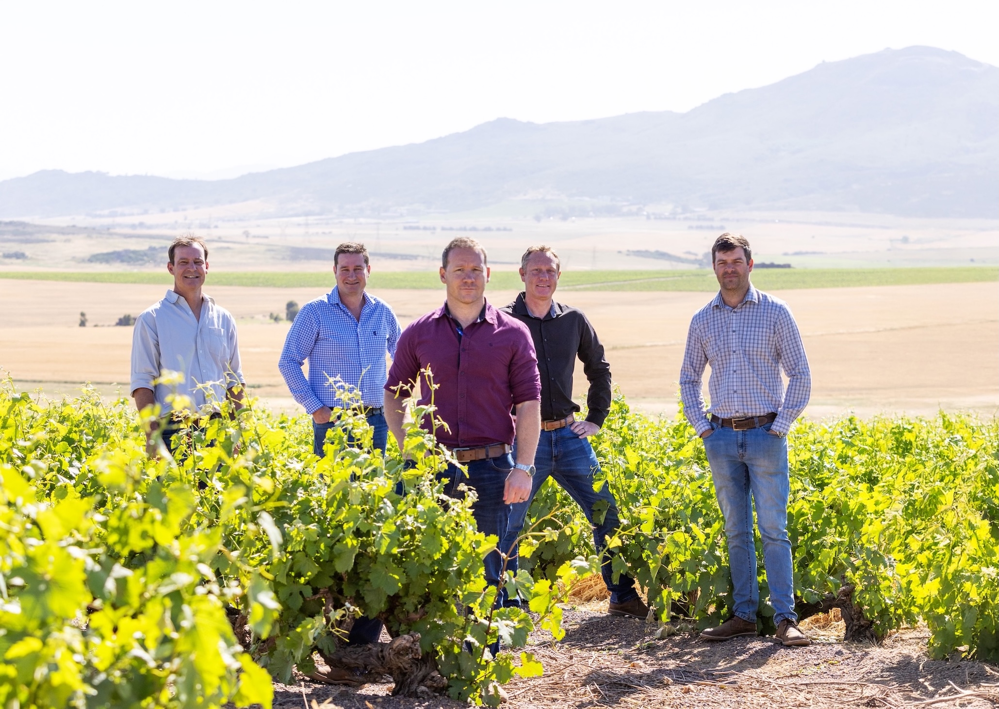 The Perdeberg winemaking team standing among dryland vineyard rows