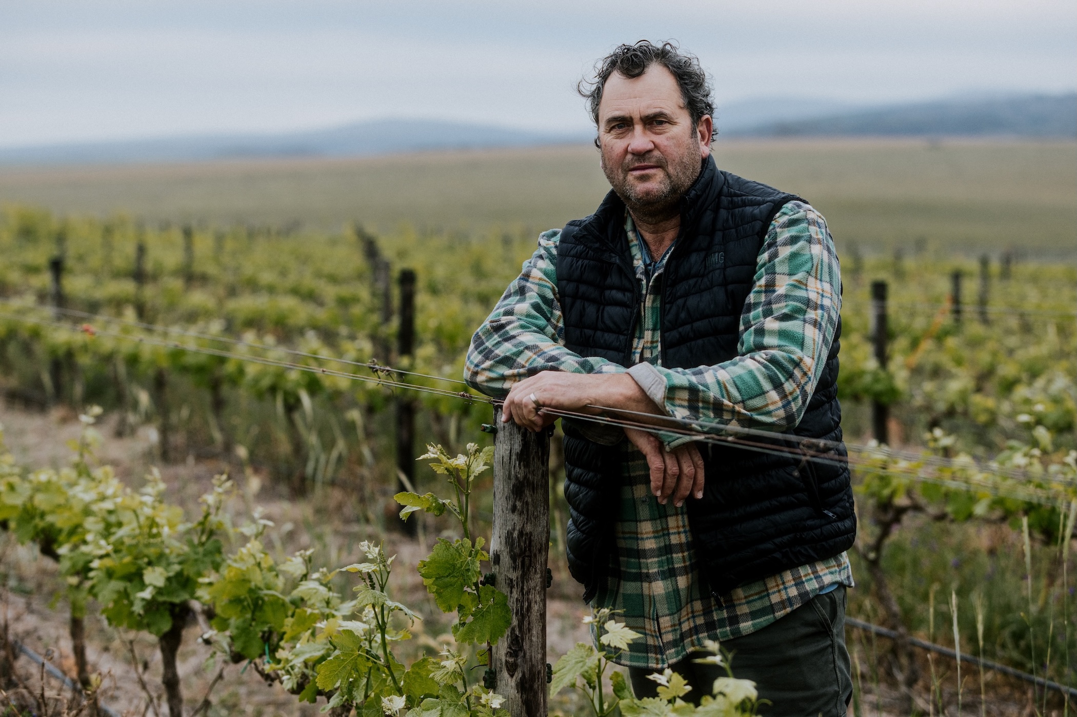 Conrad Vlok, cellarmaster at Strandveld Vineyards, in a windswept vineyard