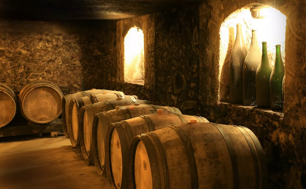Champagne Paul Sadi's cellar