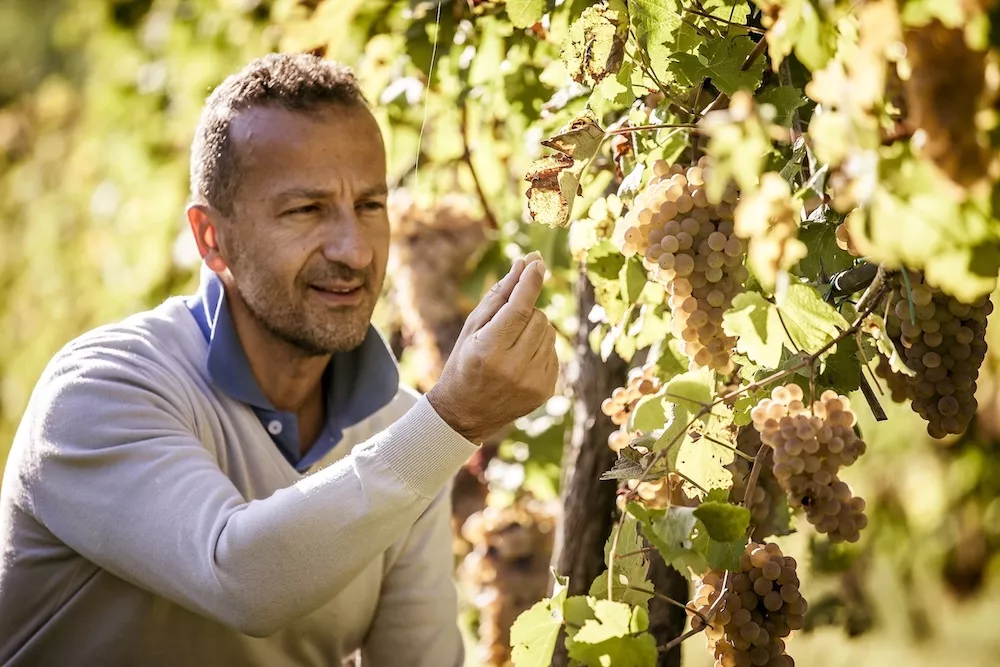 Mauro Sirri runs Azienda Celli with Emanuele Casadei, following in the footsteps of their two families, nicknamed bron and rusèval, who founded the company.
