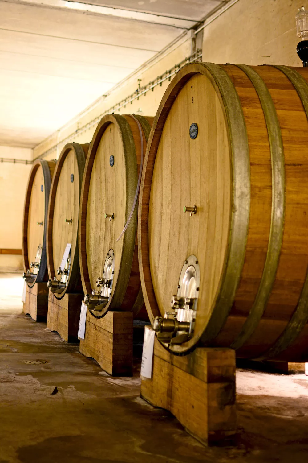 At Mevante the maturation cellars are underground, allowing natural temperature and humidity control and favouring slow, gradual ageing with very low energy cosumption.