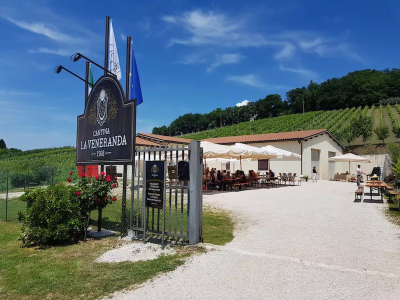 The origins of the founding family of La Veneranda are rooted in Montefalco where they have lived and worked the land since 1568.
