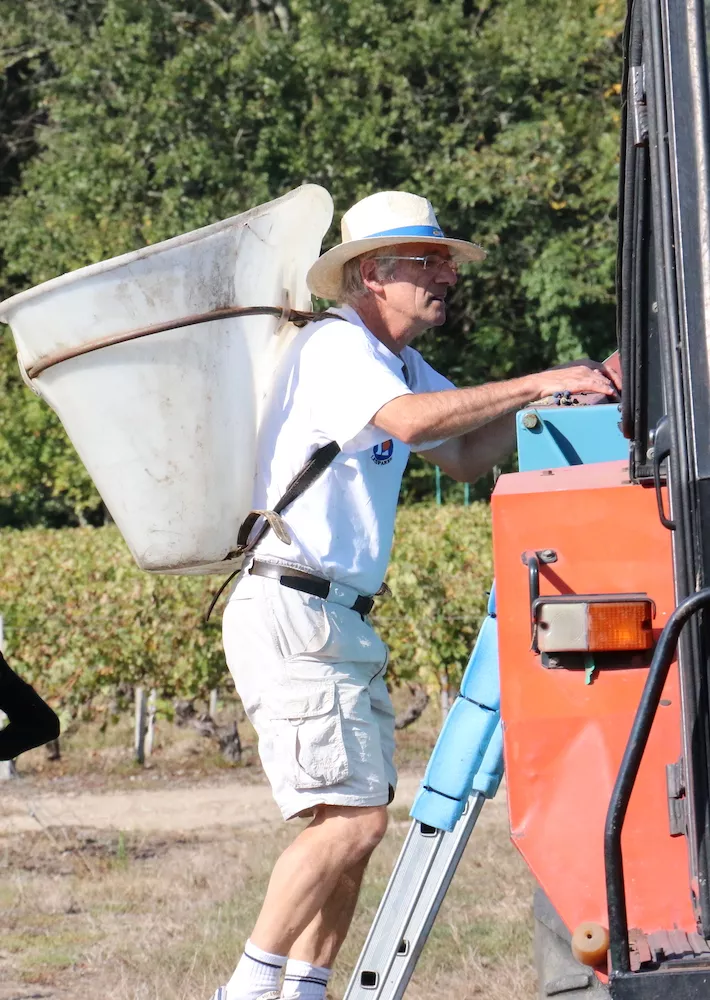 Patrice Belly during the harvest season at Château Tour Bel Air