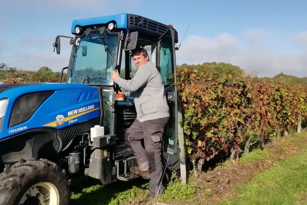 Vineyard work for Pascal Sallenave at Château Haut Couloumey