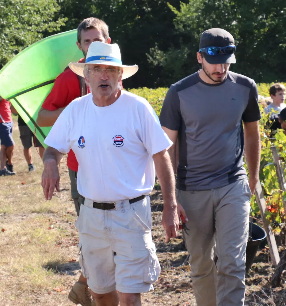 Harvesting at Château Tour Bel Air