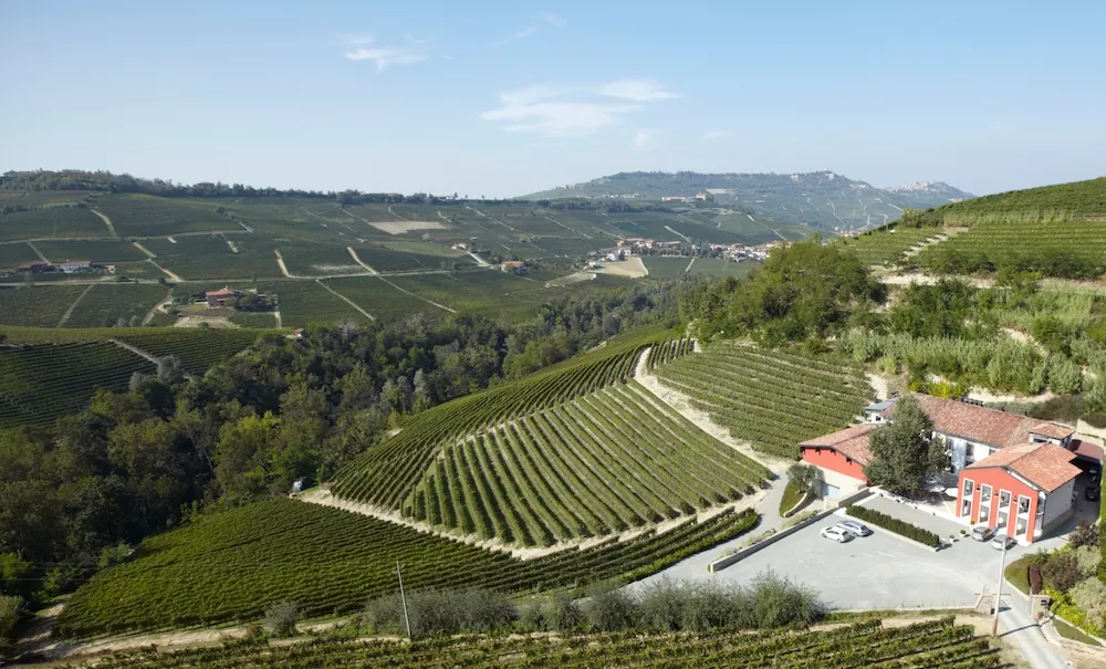 The aspect of the vineyards at Cascina Lo Zoccolaio is among the best in the area and is a fundamental requirement for vines such as 'Nebbiolo da Barolo', which is very demanding in terms of soil and exposure.