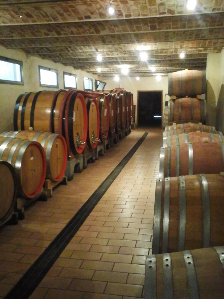 The barrel cellar at Cagliero where Nebbiolo is vinified in many ways.