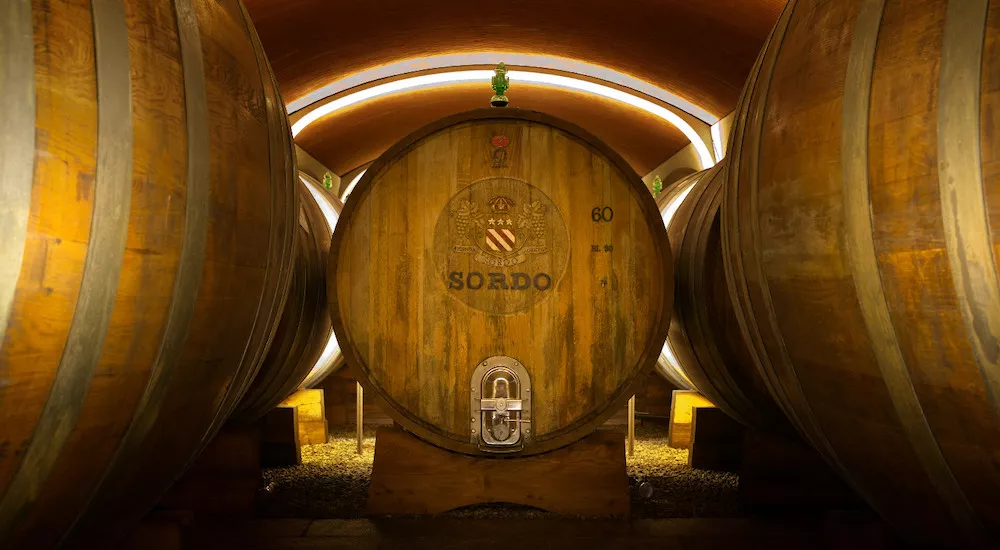 Cantina Sordo wines are left to rest in large oak barrels in the heart of the winery, its barrel cellar.