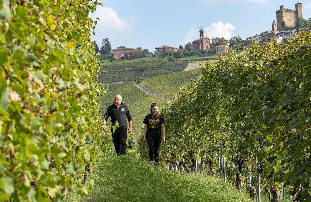 Giovanni and Paola Sordo inspect their vineyards.
