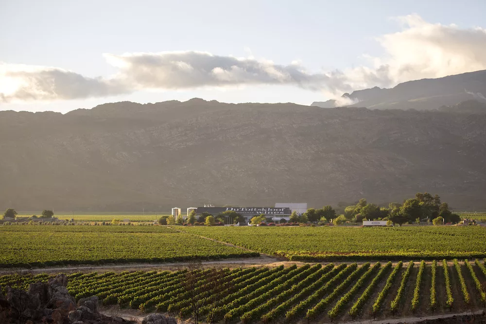 DTK was founded in 1962 as a co-operative for bulk wine production and celebrated its 60th birthday this year.