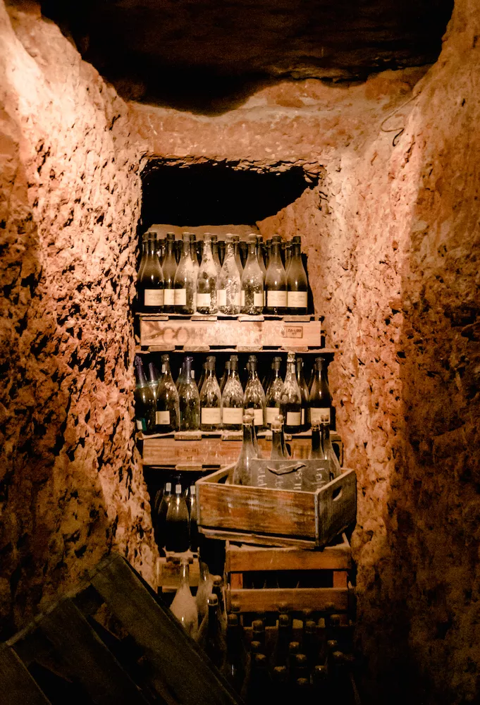 Visitors to Weltevrede can immerse themselves in the history of winemaking before lunch at the restaurant called Kapokbos