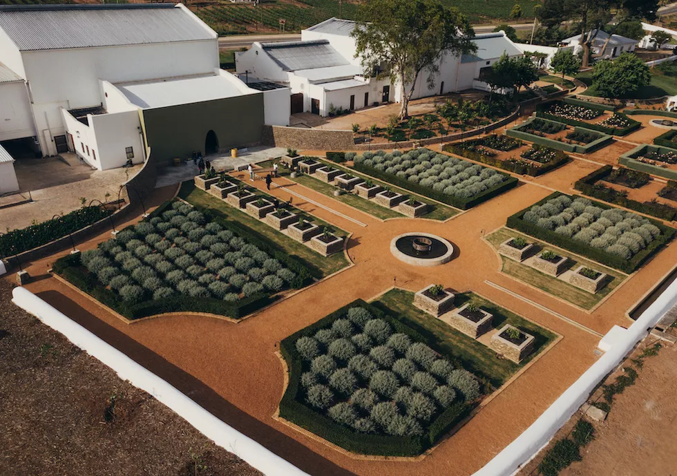 A curated experienced awaits at Weltevrede.