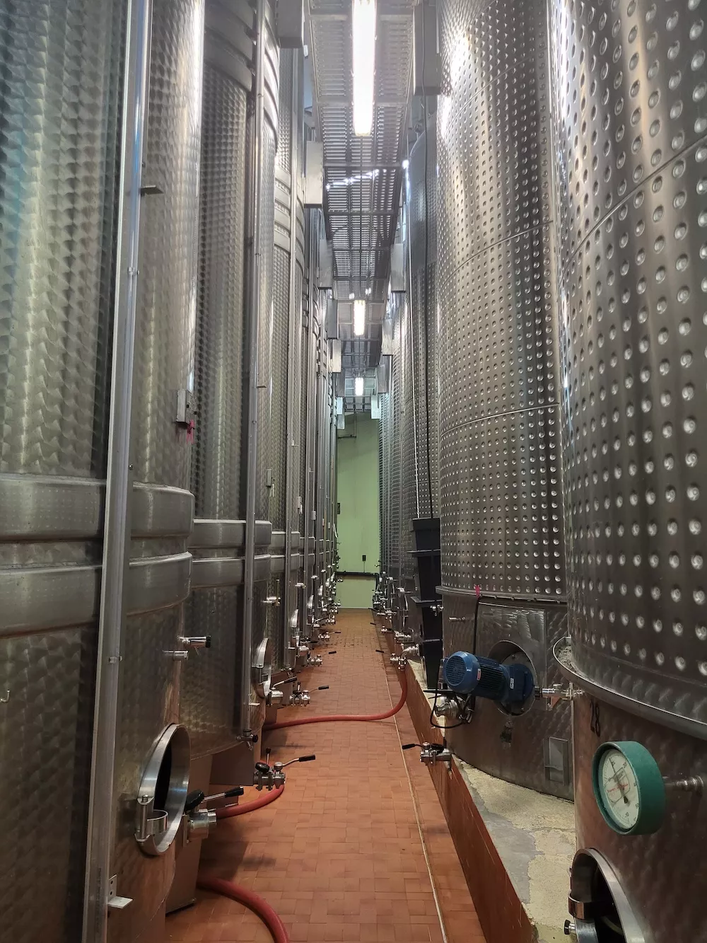 Modern winemaking facilities at UVCB