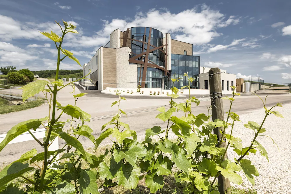 The Landion Co-operative Winery has the Benefit of a modern building