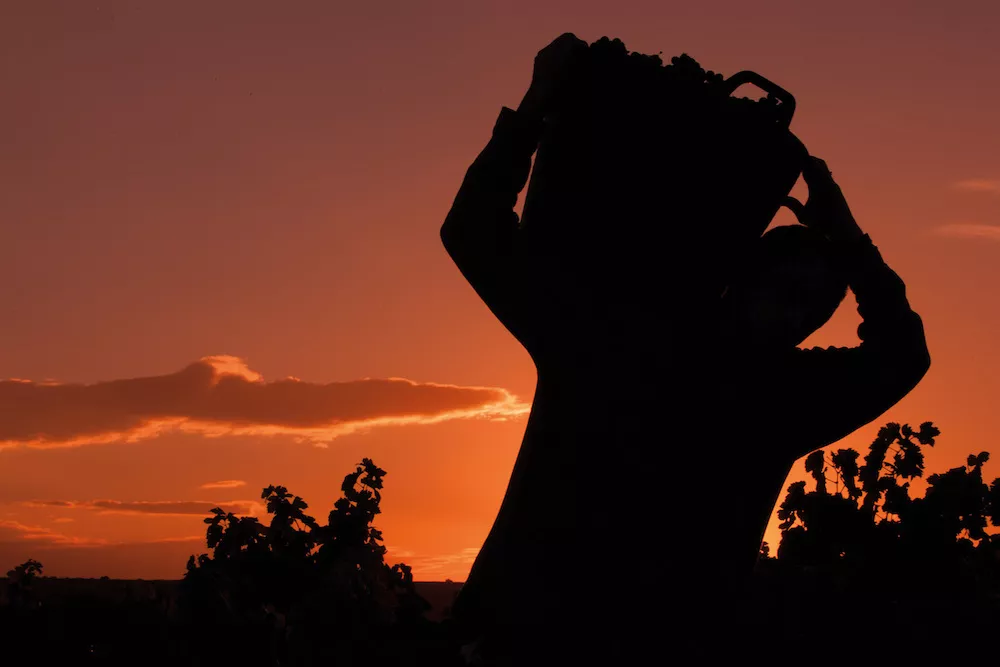 Criadores de Rioja combine installations modernes et techniques traditionnelles