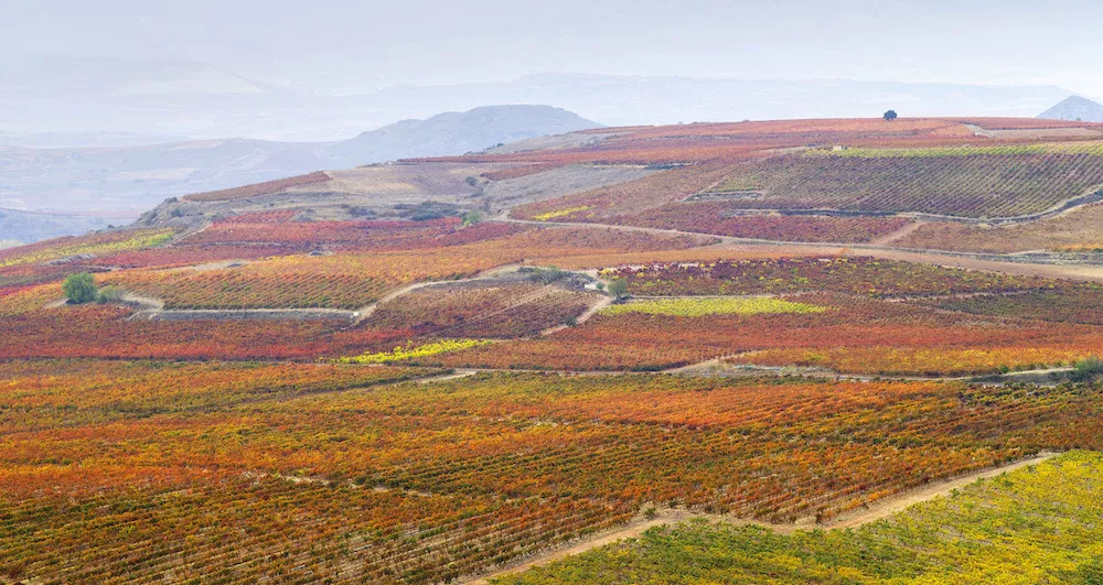 Au cœur de la Rioja, la bodega reflète bien la diversité de la célèbre appellation espagnole