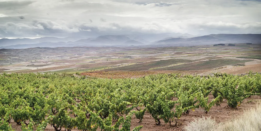 Criadores de Rioja se trouve à Alberite, un petit village près de Logroño.