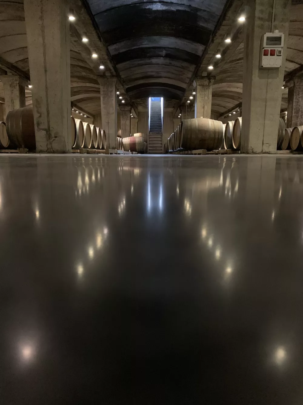 The cellar at IXSIR.