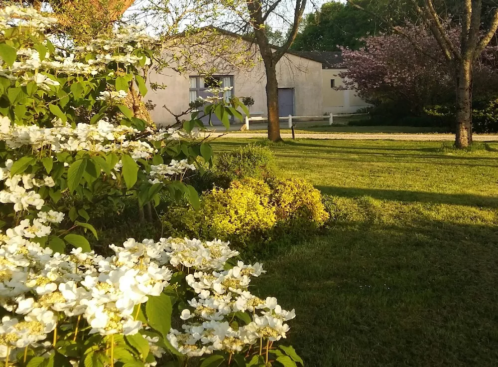 La bâtisse du Château Vieux Robin.