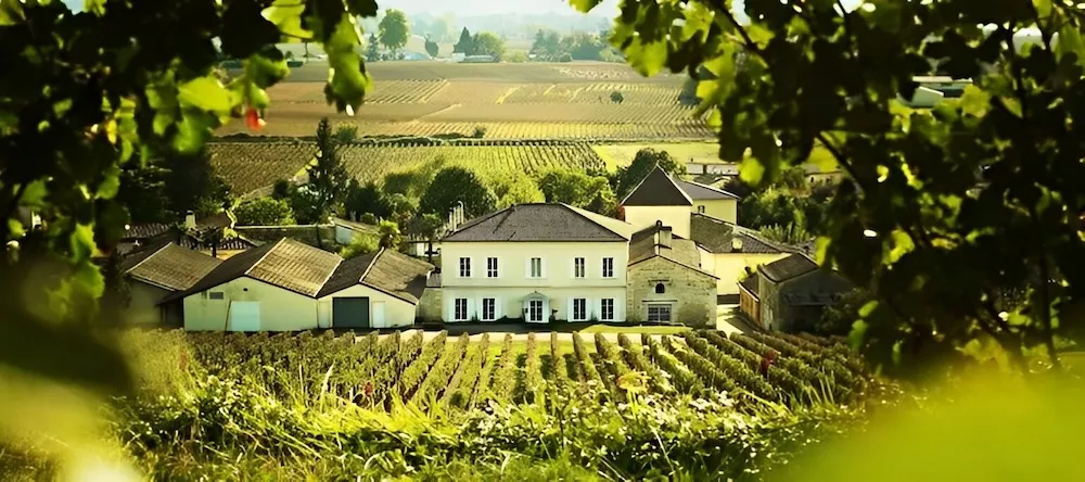 Le Château Rocher Bellevue, propriété de Bordeaux Vineam en AOC Castillon Côtes de Bordeaux