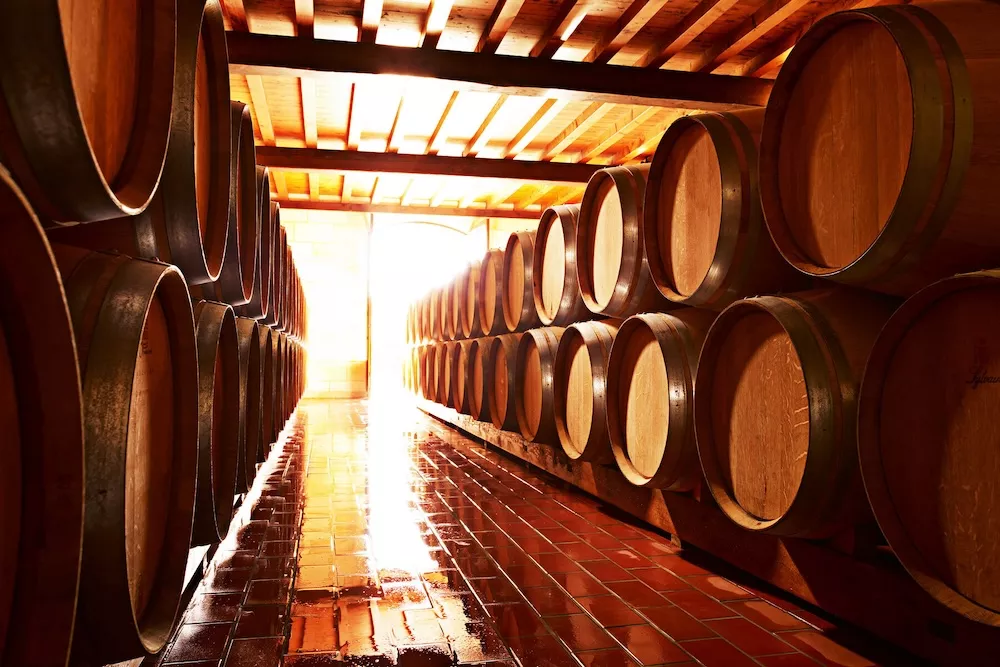 Cave à vin de Bordeaux Vineam