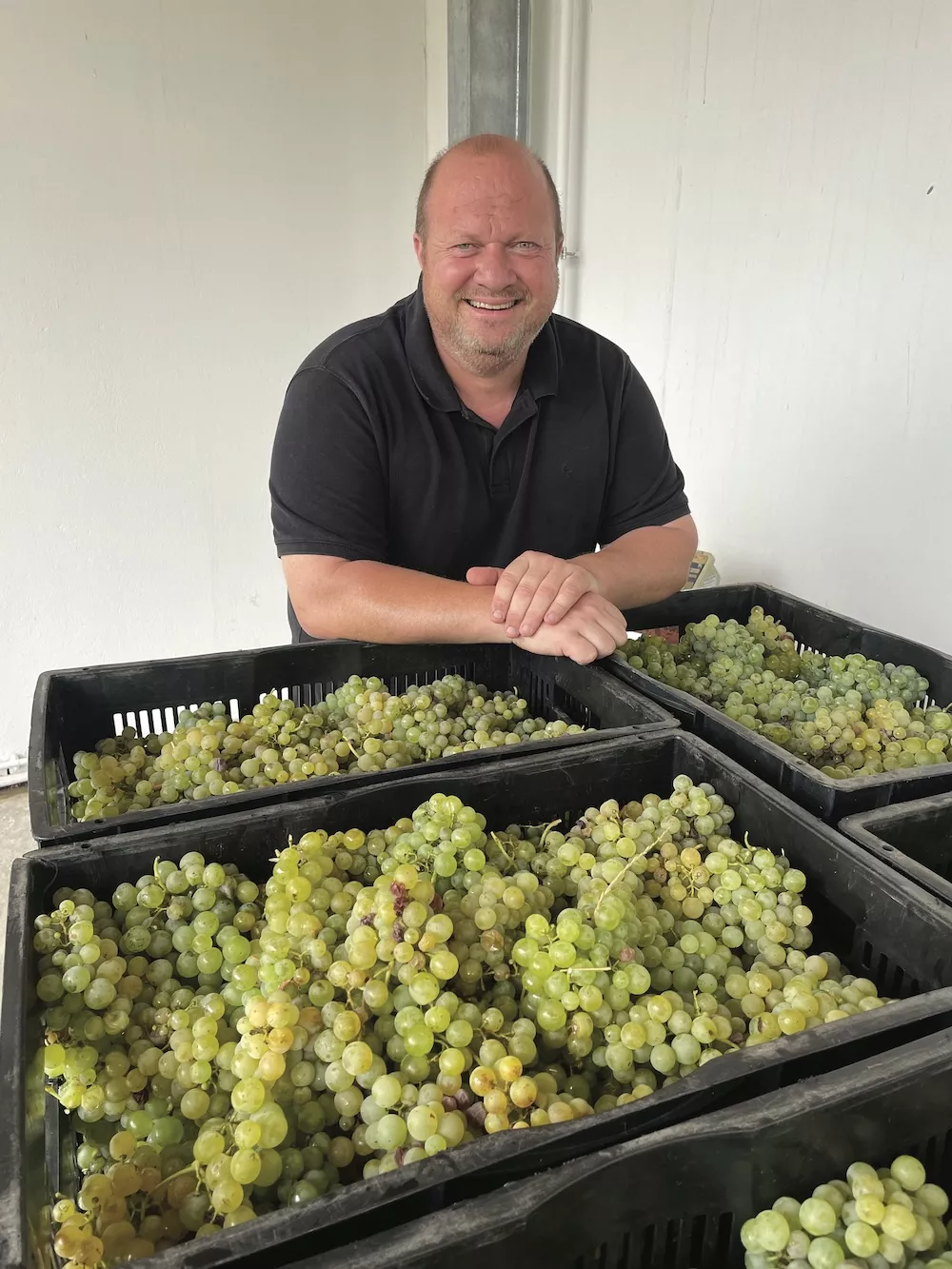 Emile Gentis, vinificateur de Thor Vintners