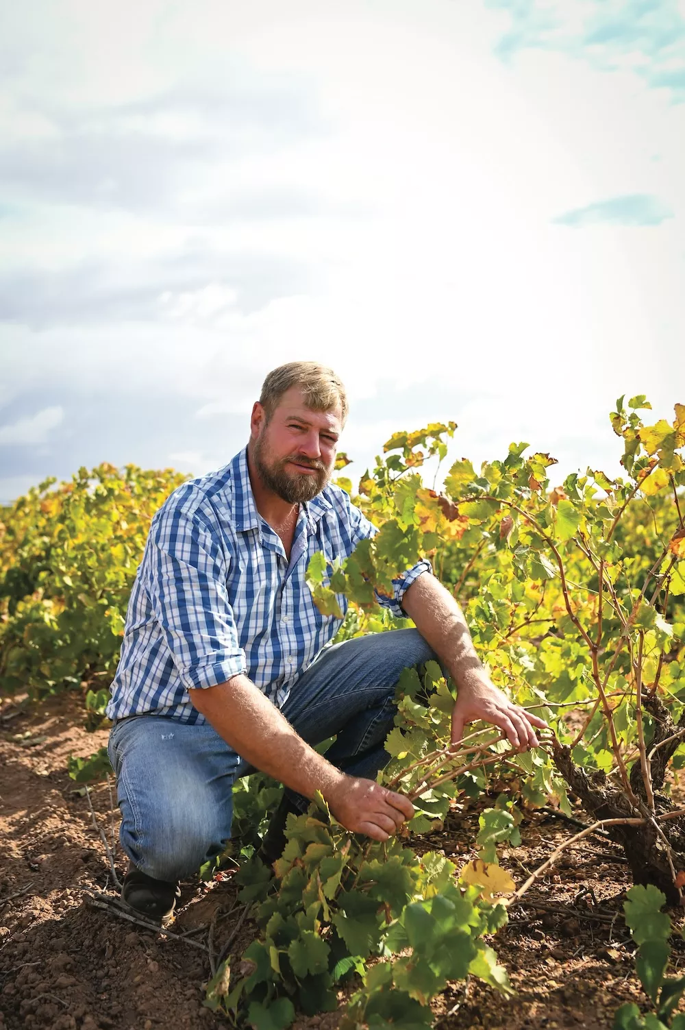 Pieter du Toit, vigneron de quatrième génération chez Du Toit Family Vineyards.