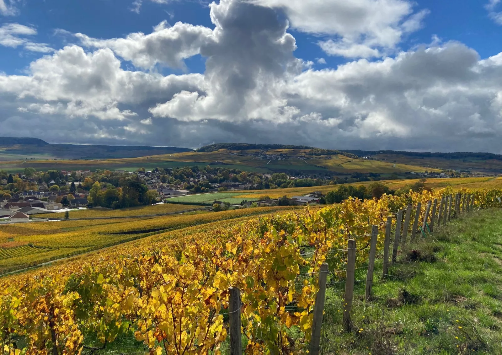 Le vignoble de la maison Patrick Boivin
