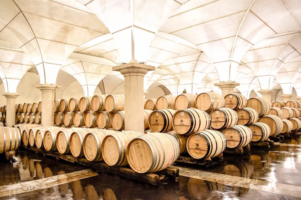 The barrel cellar at Ch&acirc;teau Montus