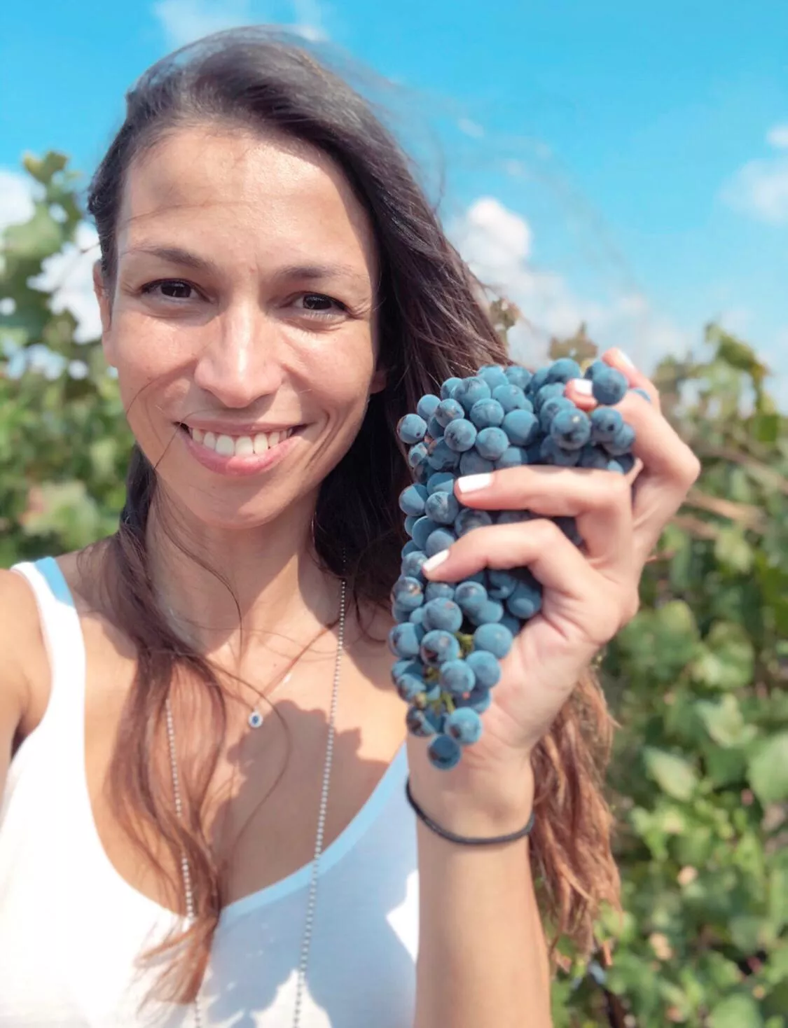 Colomba Bianca produces two rosé wines from native vines,