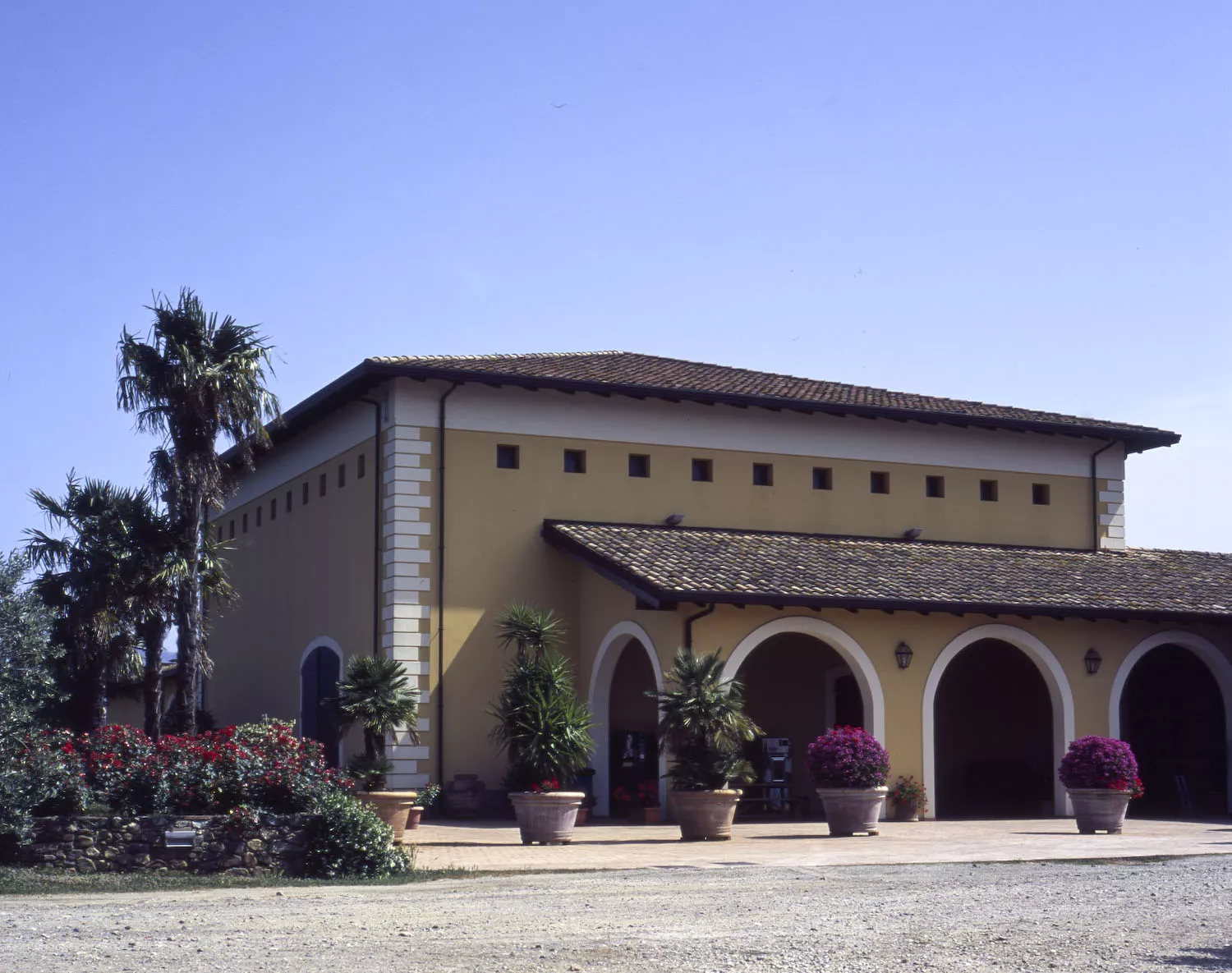 Statti is one of Calabria's most wine tourism-friendly estates