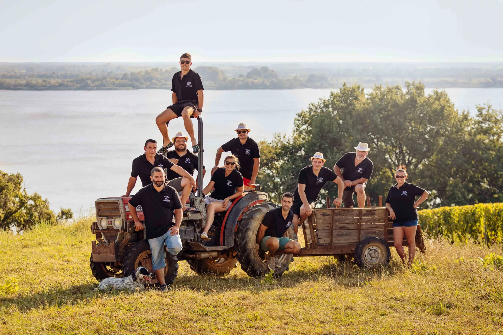 Vignerons de Tutiac: adjusting the portfolio