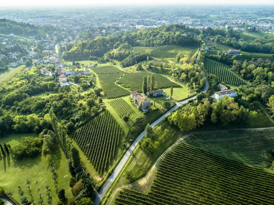 In 2019 the hills of Prosecco Docg became a UNESCO World Heritage Site