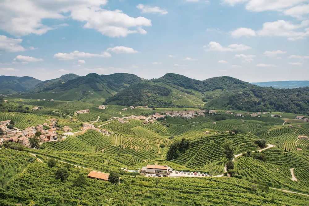 Cantina La Marca
